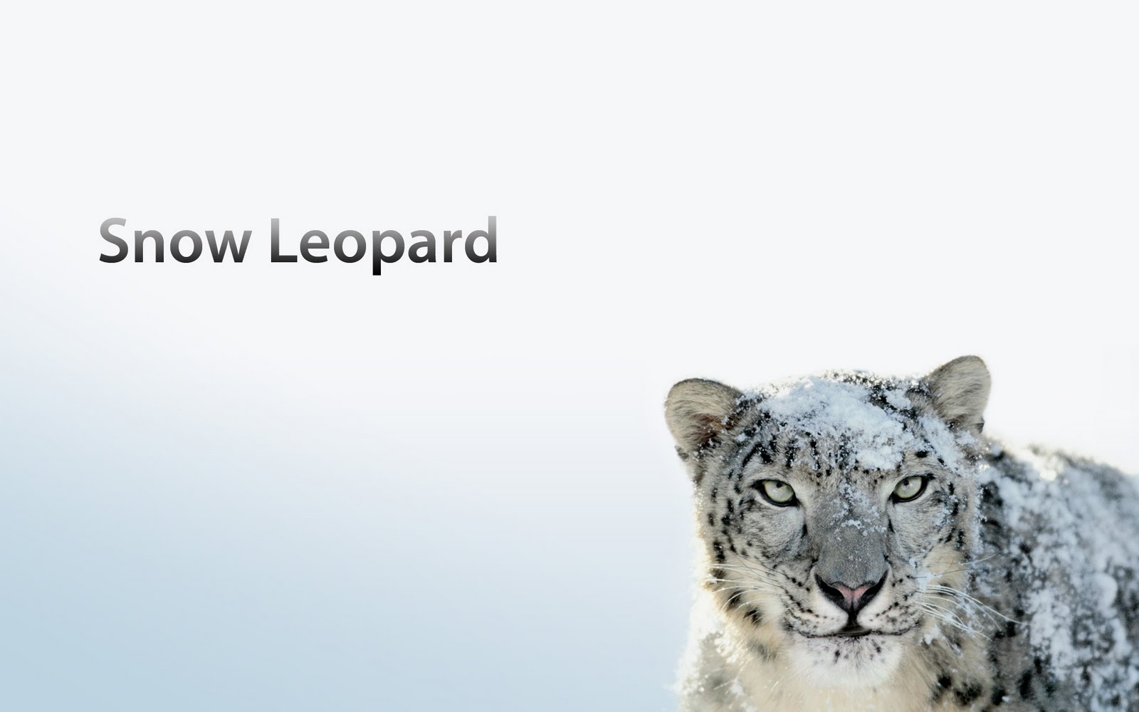 download mac os snow leopard