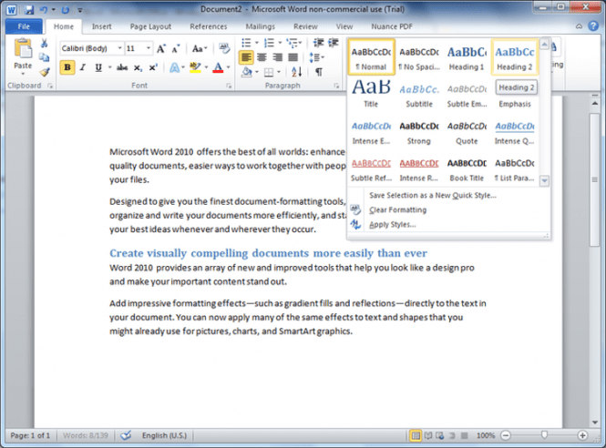 MS Office Word 2010