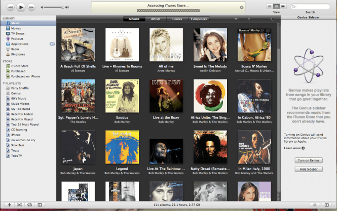 iTunes interface