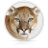 Mac OS X Mountain Lion 10.8.5