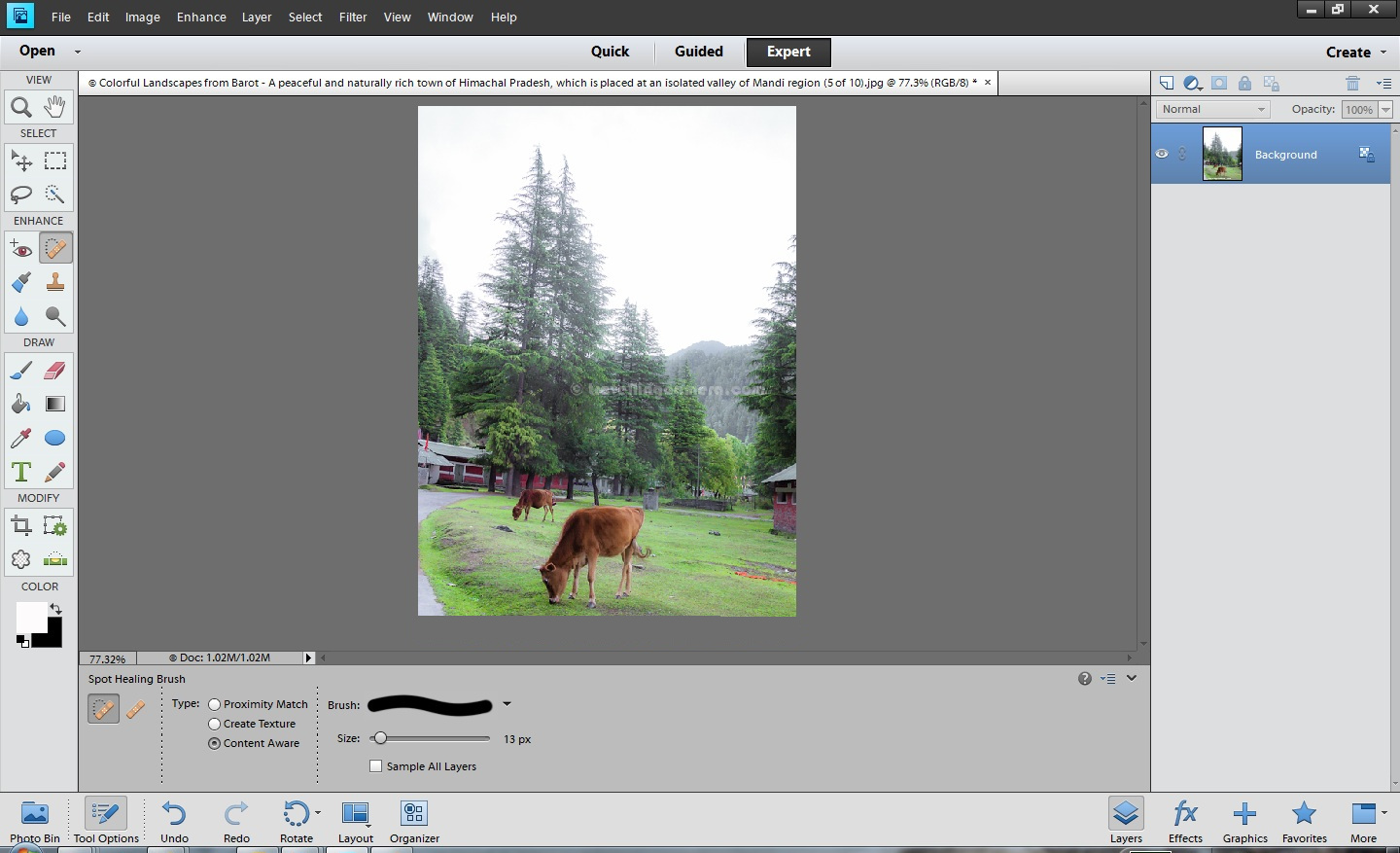 adobe photoshop elements free