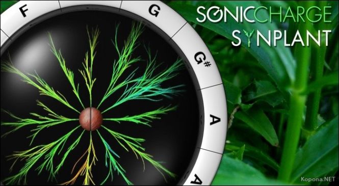 download Sonic Charge Synplant