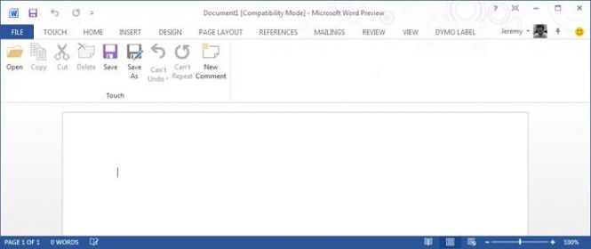 MS Word in Office 365 Pro Plus