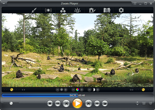 Zoom Player MAX 17.2.1720 download the new for mac