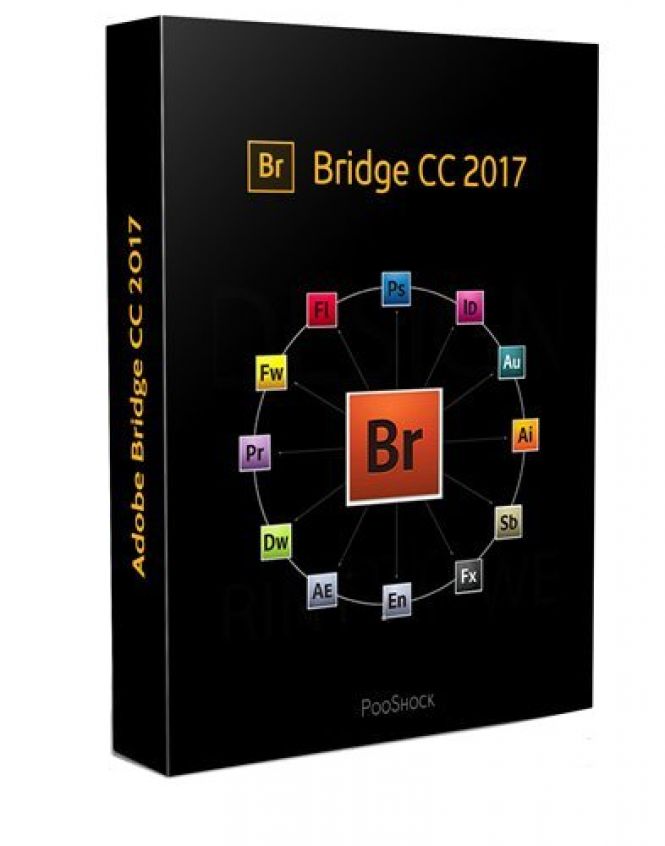 adobe bridge cc for mac free download