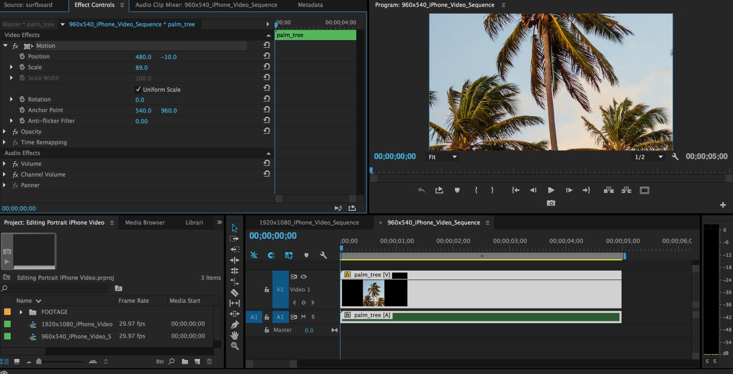 Adobe Premiere Pro CC 2018 - download in one click. Virus ...