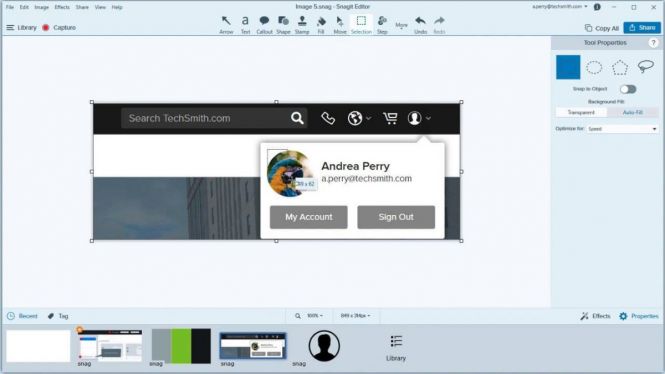 snagit 2019 trial download