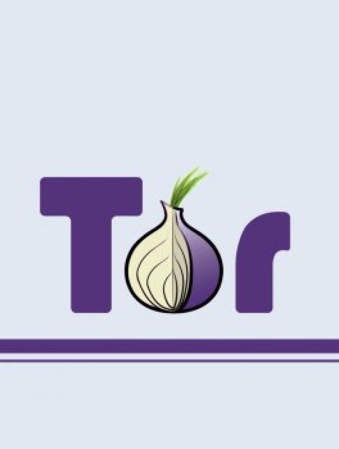 tor browser free download