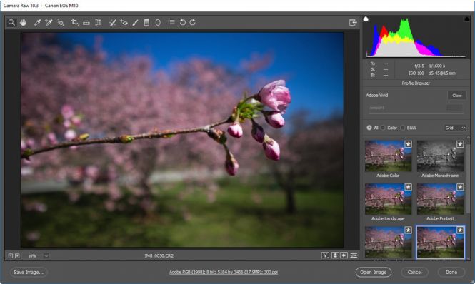 adobe photoshop 2019 free download for windows 10